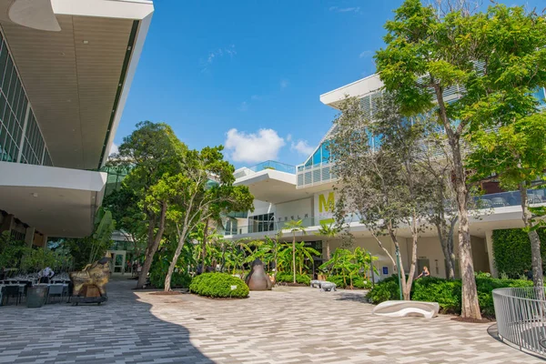 Aventura Mall Miami Dade Florida Gorillas nella nebbia — Foto Stock