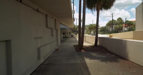 Motion Footage Pedestrian Pathway John Alsop Bridge — Stock Video