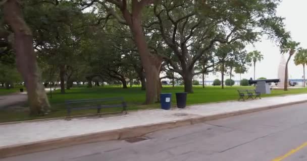 Jardín Punto Blanco Histórico Charleston — Vídeo de stock