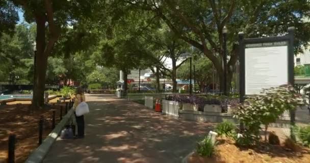 Hemming Park Regierungszentrum Innenstadt Jacksonville — Stockvideo