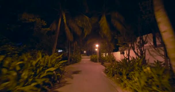 Passeios Bicicleta Para Miami Beach Noite — Vídeo de Stock