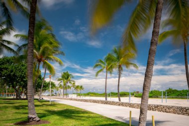 Yaz aylarında Miami Beach manzarası. Palmiye ağaçları ve bulutlarda uzun pozlama hareketi bulanıklığı