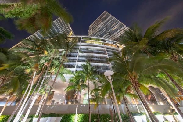 Highrise Buildings Palm Trees Image Shot Night Long Exposure Motion — Stock Photo, Image