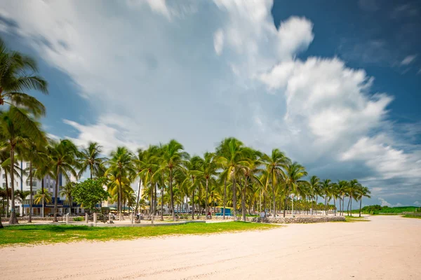 Pemandangan Miami Beach 2019 — Stok Foto