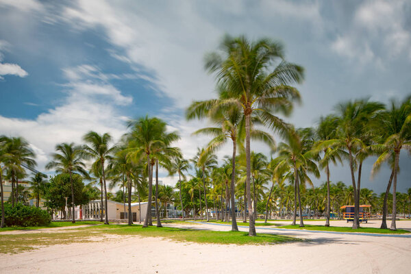 Движение размывает пальмы на Майами Бич с приближающимися грозовыми облаками. Летняя сцена во Флориде
