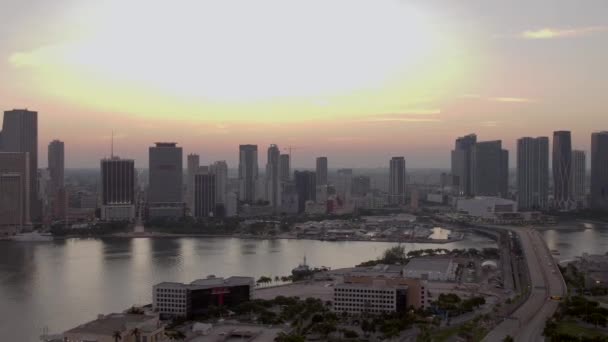 Aerial Port Miami View Downtown 60P — Stock Video