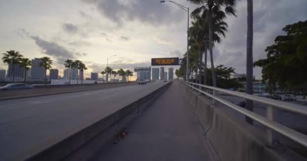 Ruch Wideo Kolarstwo Port Boulevard Bridge Downtown Miami 60P — Wideo stockowe