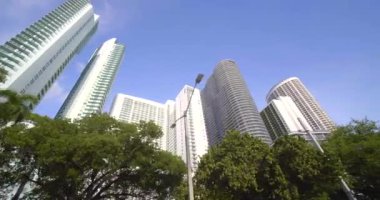 Miami'de yeşil ağaçlar tarafından tıkanmış uzun apartmanlar. Gimbal stabilize hareket kamerası ile çekim
