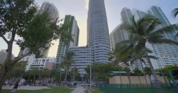 Inclinación Hacia Arriba Revelan Apartamentos Alquiler Condominios Gran Altura Edgewater — Vídeos de Stock