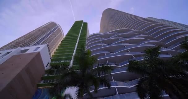 Lage Hoek Naar Boven Gericht Highrise Architectuur Palmbomen Miami 60P — Stockvideo