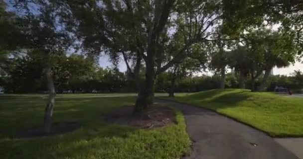 Відеозйомка Паркової Сцени Деревами 60P — стокове відео