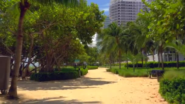 Escena Playa Pueblo Bal Harbour Miami Florida — Vídeos de Stock