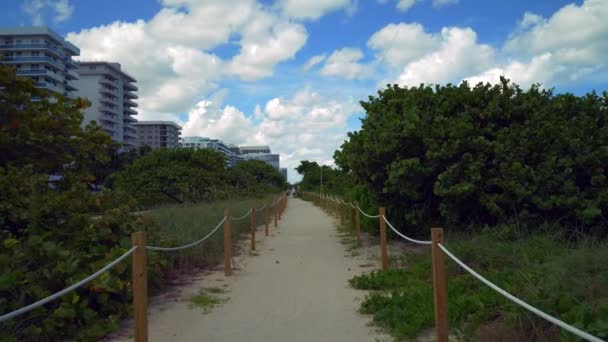 Miami Beach Atlantic Way Pedestrian Pathway — Stock Video