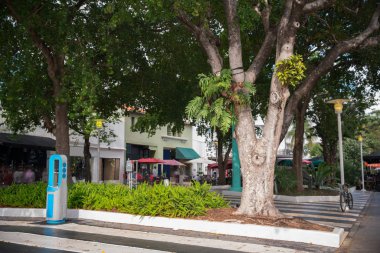 Lincoln Road South Beach Fl Amerika Birleşik Devletleri