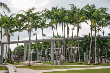 Miami Beach park ve palmiye ağaçları