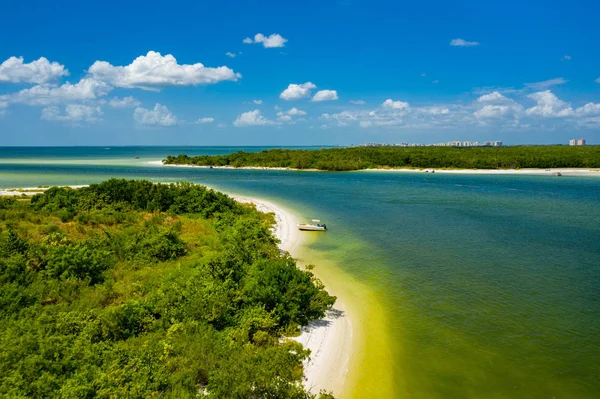 Zomer Napels liefhebbers van Florida sleutel — Stockfoto