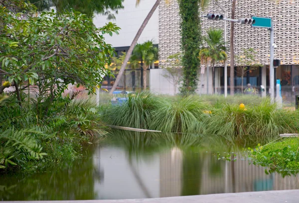 Miami Beach Lincoln Road winkelcentrum tuin en vijver landschap — Stockfoto