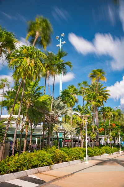 Scena ogrodowa w Lincoln Road Miami Beach. Długi ruch ekspozycji b — Zdjęcie stockowe