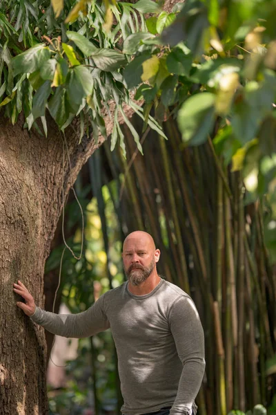 Imagen de un hombre posando junto a un árbol en una escena de jardín al aire libre —  Fotos de Stock