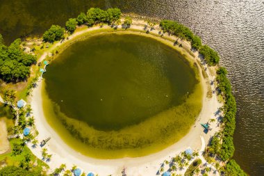 Homestead Bayfront Park Miami Florida 'da yüzme havuzu.