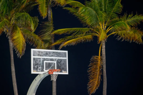 Photo of a basketball hoop at night with palm trees blurry in th — Stock Photo, Image