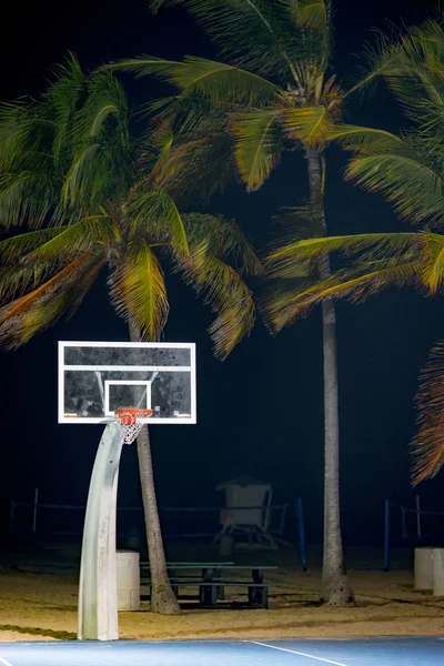 Basketbal hoepel met palmbomen Fort Lauderdale Florida Usa — Stockfoto