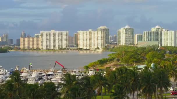 Aerial Miami Beach Nature Scene Highrise Condominiums 60P — Stock Video