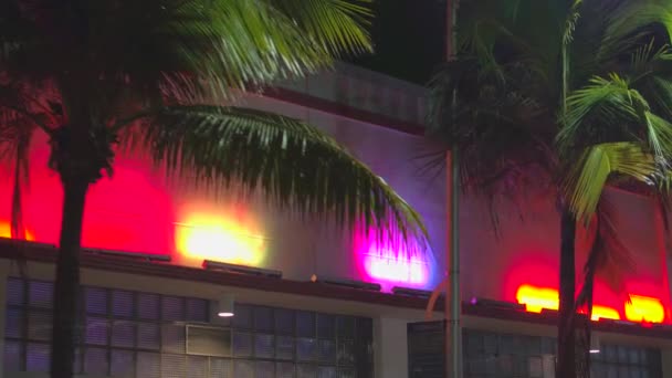 Lampu Berkedip Neon Dan Pohon Palem Adegan Malam Miami — Stok Video