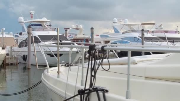Miami Lyxbåtar Hamnen — Stockvideo