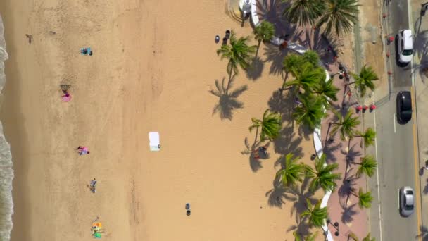 Aérea Overhead Tiro Fort Lauderdale Drone — Vídeo de Stock