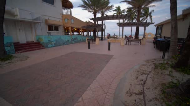 佛罗里达Hollywod海滩倾斜向上的植被A — 图库视频影像