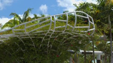 Soundscape Park Miami Plajı 'nda Blackmagic 6k braw
