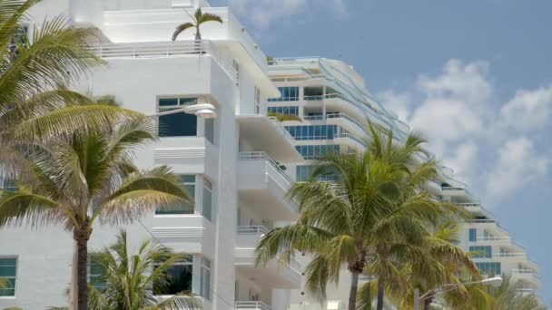 Metraje Fort Lauderdale Palmeras Edificios — Vídeo de stock