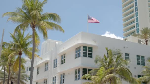 Edificios Video Palmeras Con Bandera Americana Miami Fort Lauderdale Escena — Vídeo de stock