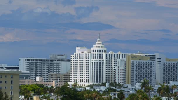 Famosi Hotel Sulla Spiaggia Miami Girato Blackmagic Braw Camera — Video Stock