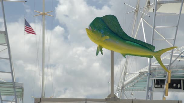 Mahi Mahi Dolphin Fish Dans Une Marina Images Brutes — Video