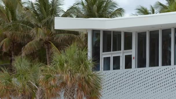 Miami Beach Moderne Architektur Und Palmen Auf Blackmagic Schlägerei Geschossen — Stockvideo