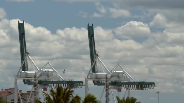 黑魔法6K Braw相机拍摄的迈阿密港起重机 — 图库视频影像
