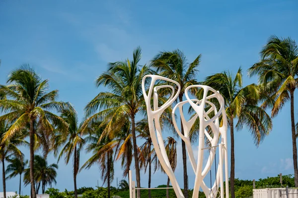 Foto Muscle Beach Miami Dengan Pohon Palem Latar Belakang — Stok Foto