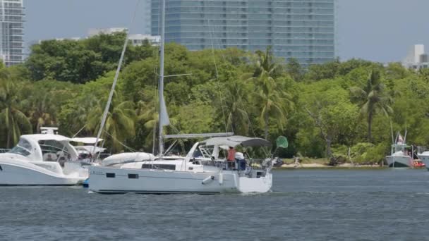 Miami Usa Mai 2020 Tracking Shot Eines Segelbootes Wasser Blackmagic — Stockvideo