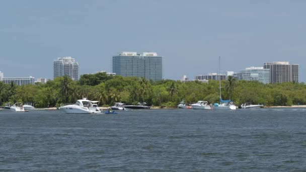 Miami Usa Május 2020 Társadalmi Távolsági Csónakázás Miami Haulover Sand — Stock videók