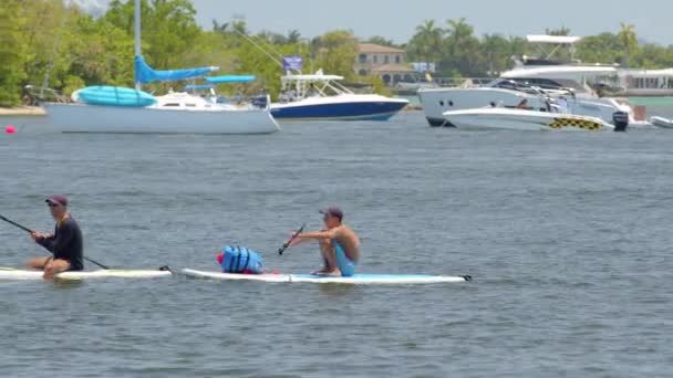 Miami Eua Maio 2020 Pessoas Stand Dup Paddle Boards Sup — Vídeo de Stock
