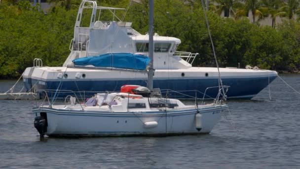 Miami Usa May 2020 Sailboats Bay Shot Blackmagic Raw — Stock Video