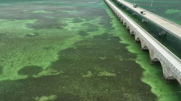 Florida Keys Temiz Suları — Stok video