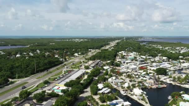 Flyg Stiger Uppåt Florida Keys Overseas Highway — Stockvideo