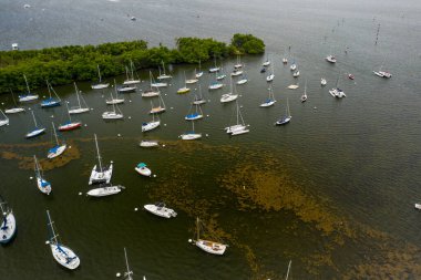 Miami hava aracı fotoğrafında yelkenliler.
