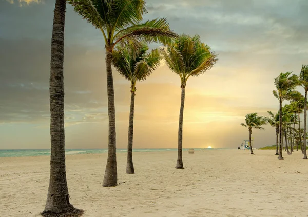 美丽的夕阳洒落在沙滩上 还有棕榈树 — 图库照片