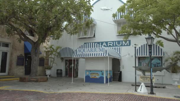 Key West Aquarium Video — Stockvideo