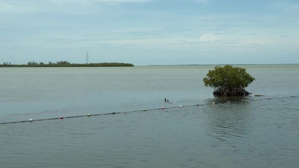 Paisaje Acuático Florida Key West — Vídeo de stock