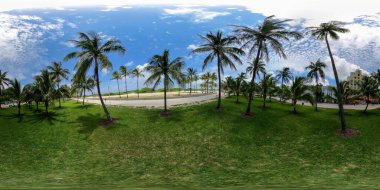 360 vr Miami Plajı Lummus Park palmiye ağaçları eşkenar dörtgen fotoğraf